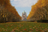 eglises - patrimoine