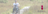 access-i banner - 1