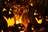 Image of Halloween jack lantern. Shooting Location: Yokohama-city kanagawa prefecture