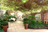 tables impeccablement mises sur une terrasse ensoleillée, chaises de jardin en métal noir, parasols blancs et nappes blanches, vert en arrière-plan