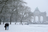 hiver - neige