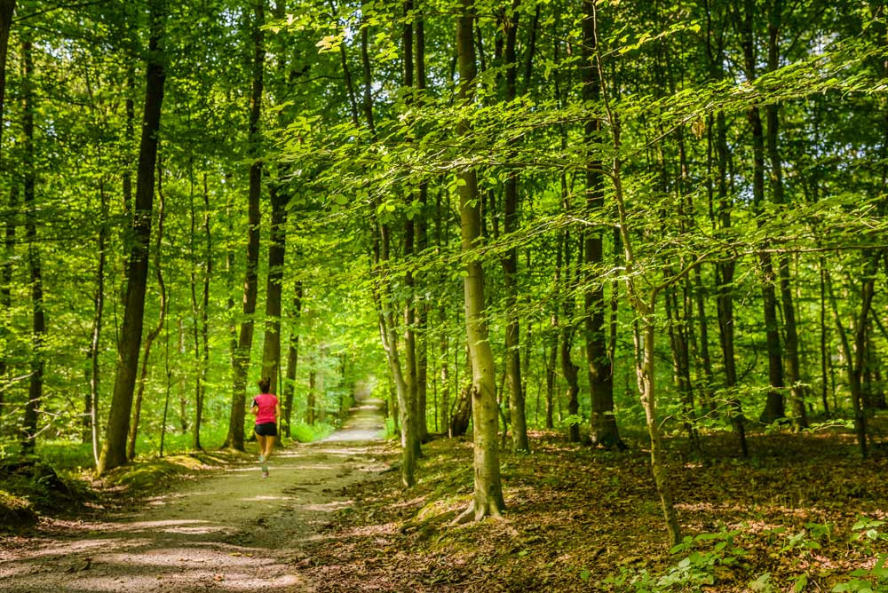 The most beautiful running routes in Brussels | Visit Brussels