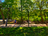 Parc de Bruxelles - Warandepark - Brussels Park
