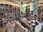 The book selection from The European Bookshop, outside the sun shines through the trees