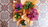plantes -fleurs
