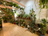 a wall with tree wallpaper with a whole series of smaller plants in front of it