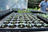 Plant Your Mood