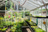 l'intérieur du LIB : cactus, paniers, plantes, pots et un meuble à boissons en bois