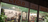 Vitrine du magasin avec vélos suspendus au fond