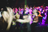 culture - quartier européen - sorties - concerts - art