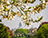 Panorama dal parco Duden con vista sul Tribunale