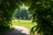 golf - sport - loisir 
