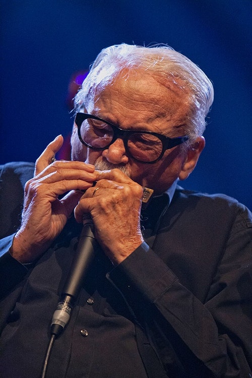 Toots Thielemans à l'harmonica