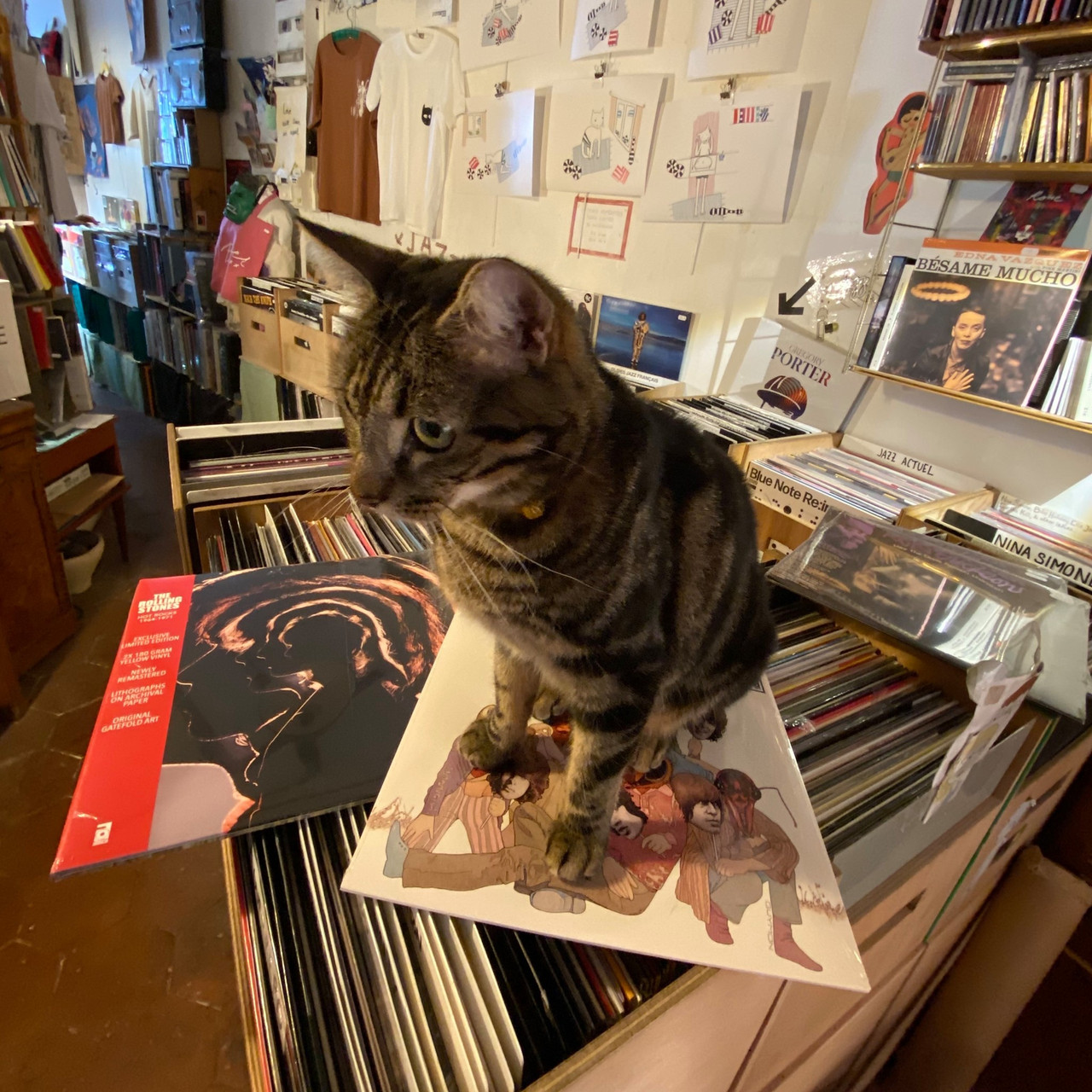 Vinyl