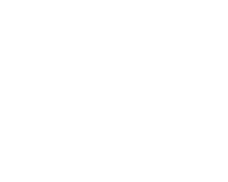 logo bru