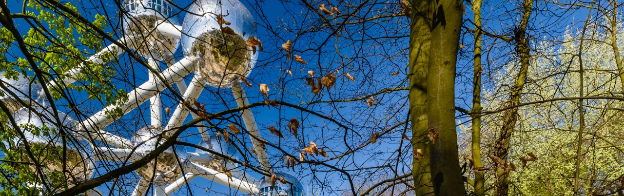 Trees from the Osseghem Park. You can see the Atomium in the background.