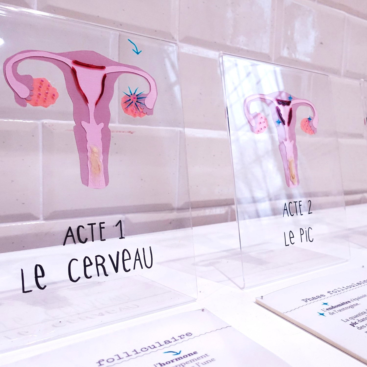 Menstruositées
