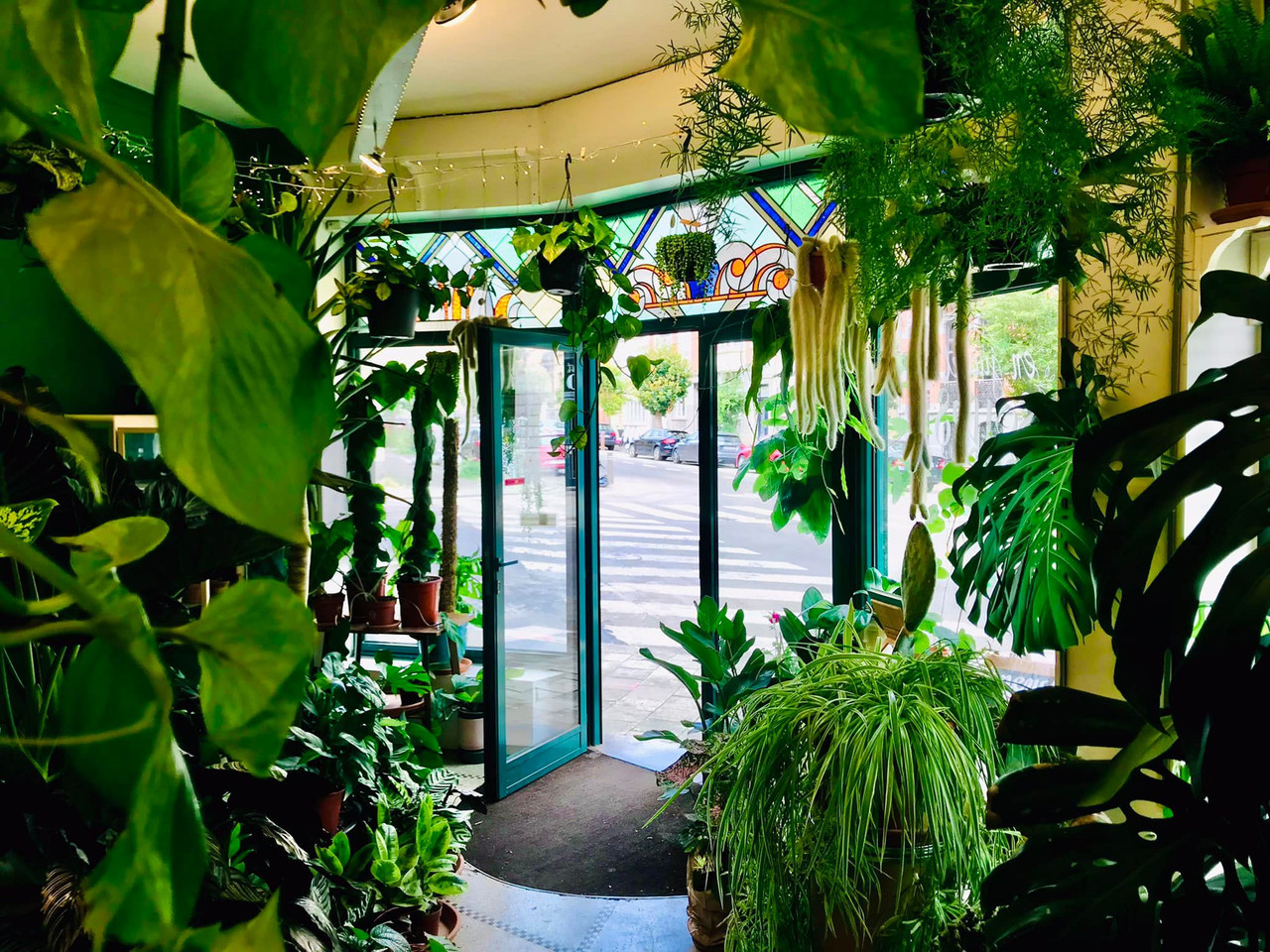 Wondergreen - shopping - plantes - Schaerbeek