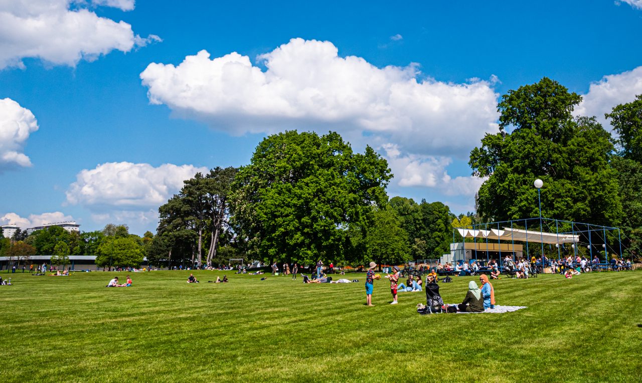 Mensen liggen op het grote grasperk naast Bar André in Park van Laken